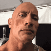 Dwayne Johnson portrait representing the ESTJ personality type