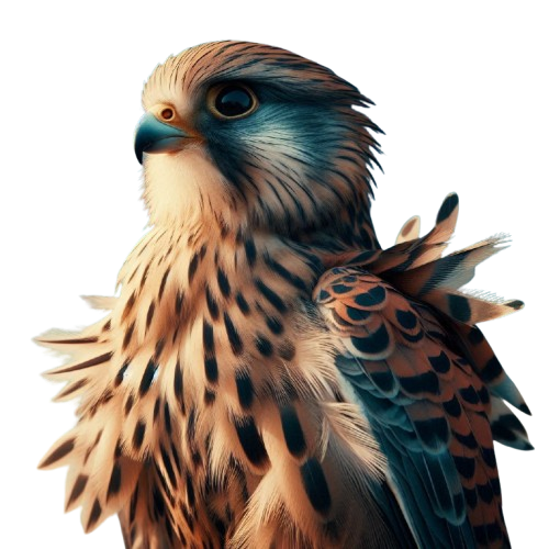 Falcon