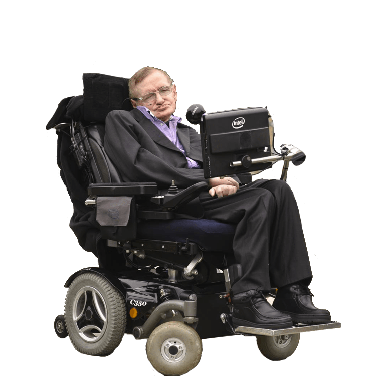 Hawking badge